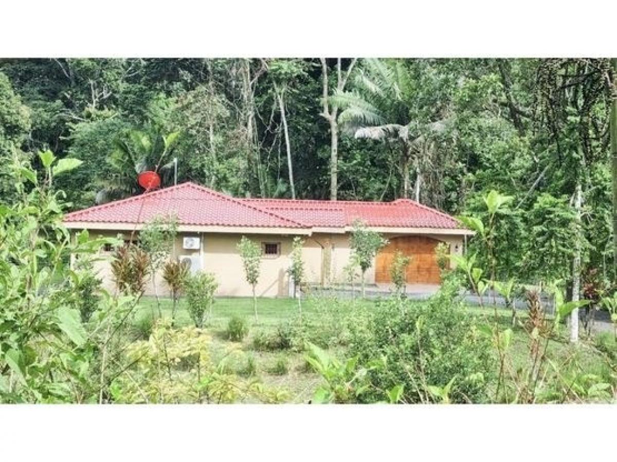 3 bedrooms House in Limon, Costa Rica No. 702