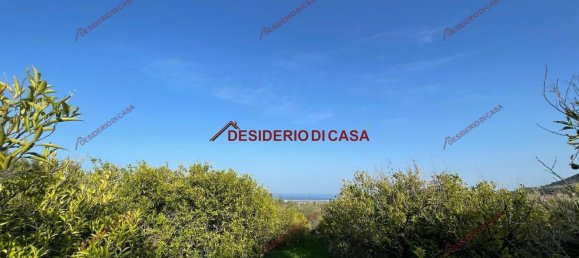 4500m² Land in Lascari, Italy No. 149001 6