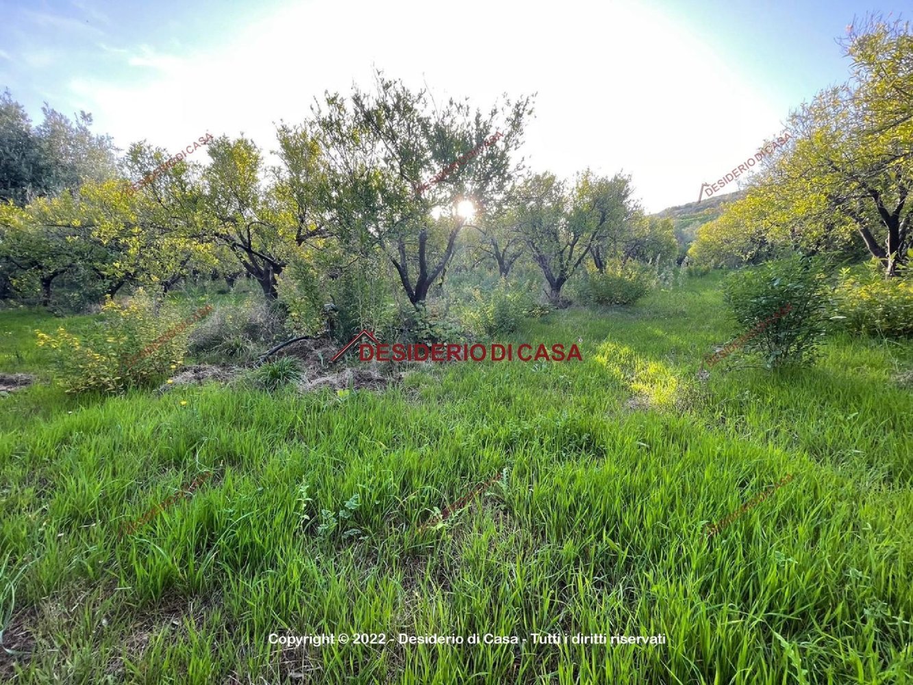 4500m² Land in Lascari, Italy No. 149001