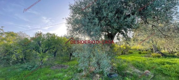4500m² Land in Lascari, Italy No. 149001 3