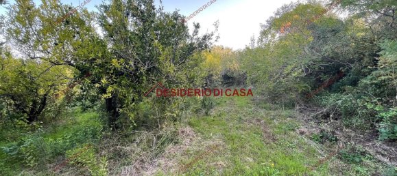 4500m² Land in Lascari, Italy No. 149001 5