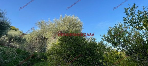 4500m² Land in Lascari, Italy No. 149001 7