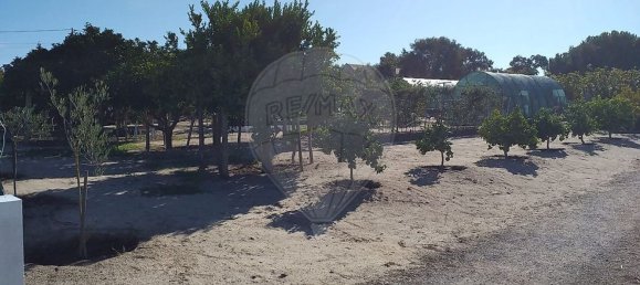 3 غرف نوم منزل في Alcochete, Portugal رقم 189370 10