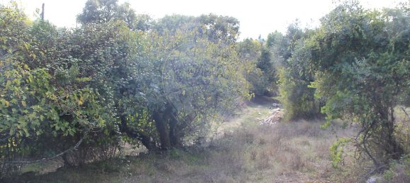 Casa T2 em Ansião, Portugal N.º 25925 15