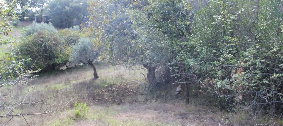 Casa T2 em Ansião, Portugal N.º 25925 9