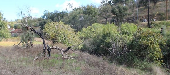 Casa T2 em Ansião, Portugal N.º 25925 14
