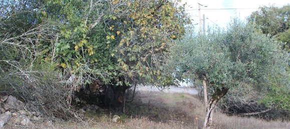 Casa T2 em Ansião, Portugal N.º 25925 20