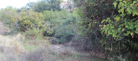 Casa T2 em Ansião, Portugal N.º 25925 21