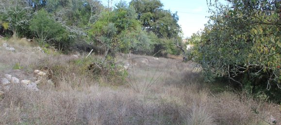Casa T2 em Ansião, Portugal N.º 25925 18