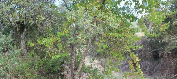 Casa T2 em Ansião, Portugal N.º 25925 16