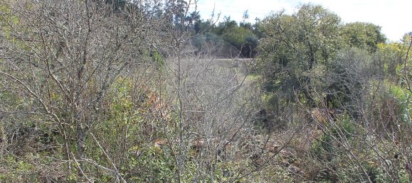 Casa T2 em Ansião, Portugal N.º 25925 26