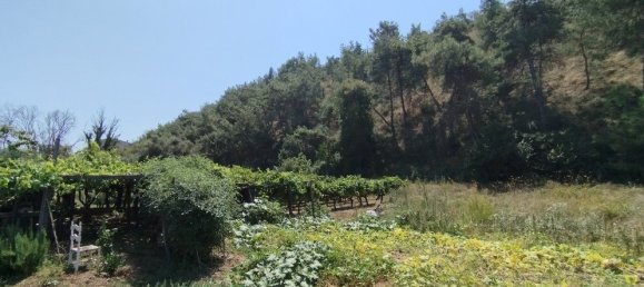 5500m² Hotel in Thermaic Gulf, Greece No. 2970 2