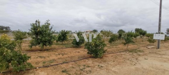 101520m² Land in Guia, Portugal No. 10087 17