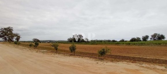 101520m² Land in Guia, Portugal No. 10087 13