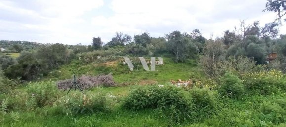 101520m² Land in Guia, Portugal No. 10087 16