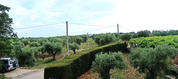 8 rooms Villa in Crecchio, Italy No. 278537 11