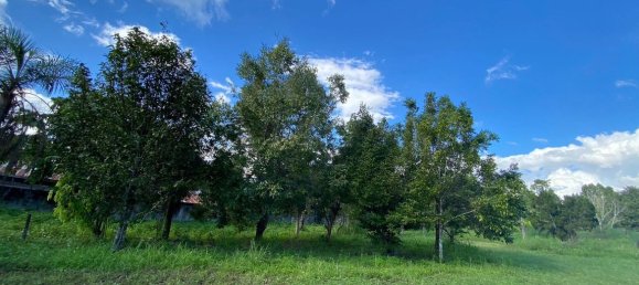 قطعة أرض في Chiang Mai, Thailand رقم 27013 2