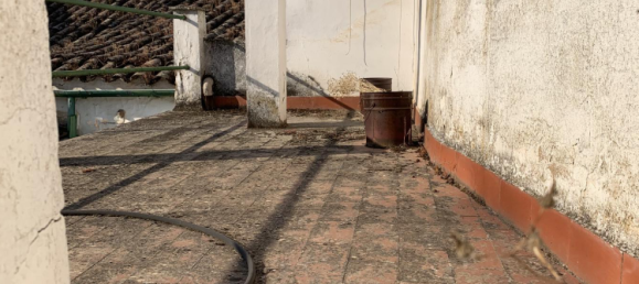 Casa de 5 dormitorios en Almendralejo, Spain No. 177464 11