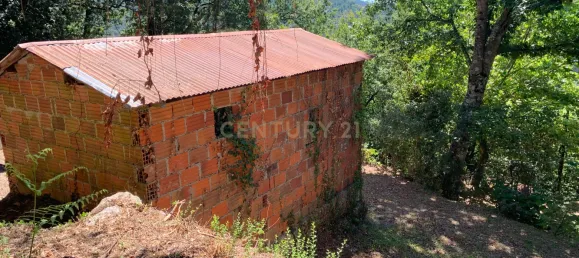 3 bedrooms Villa in Cantelaes, Portugal No. 187806 12