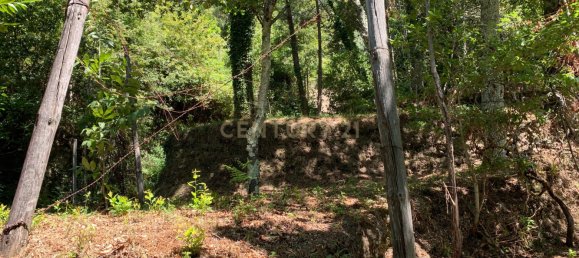 3 bedrooms Villa in Cantelaes, Portugal No. 187806 3