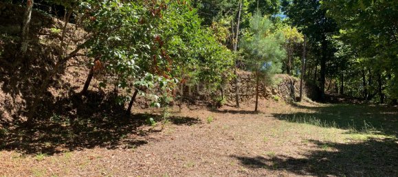 3 bedrooms Villa in Cantelaes, Portugal No. 187806 29