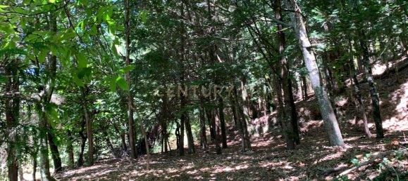 3 bedrooms Villa in Cantelaes, Portugal No. 187806 9