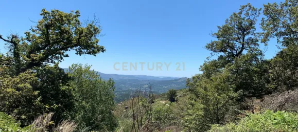 3 bedrooms Villa in Cantelaes, Portugal No. 187806 23