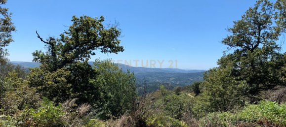 3 bedrooms Villa in Cantelaes, Portugal No. 187806 28