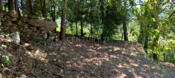 3 bedrooms Villa in Cantelaes, Portugal No. 187806 19