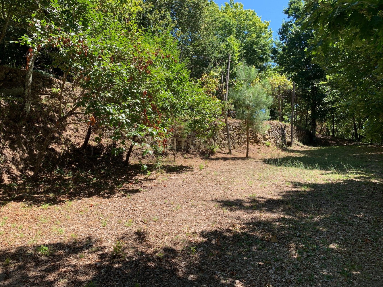 3 bedrooms Villa in Cantelaes, Portugal No. 187806