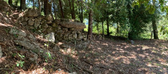 3 bedrooms Villa in Cantelaes, Portugal No. 187806 18