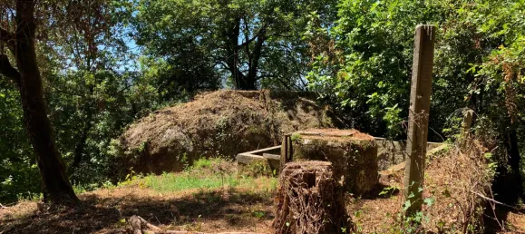 3 bedrooms Villa in Cantelaes, Portugal No. 187806 20