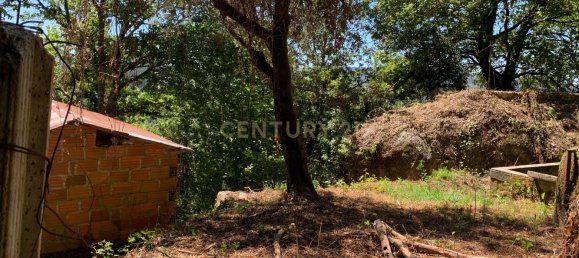 3 bedrooms Villa in Cantelaes, Portugal No. 187806 21