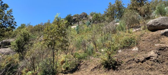 3 bedrooms Villa in Cantelaes, Portugal No. 187806 24