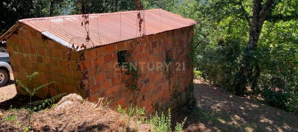 3 bedrooms Villa in Cantelaes, Portugal No. 187806 11