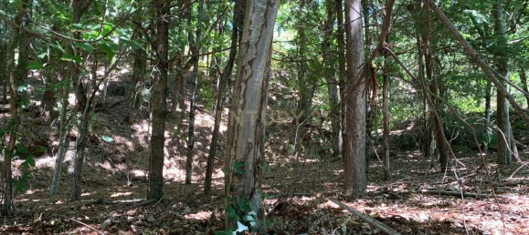 3 bedrooms Villa in Cantelaes, Portugal No. 187806 7