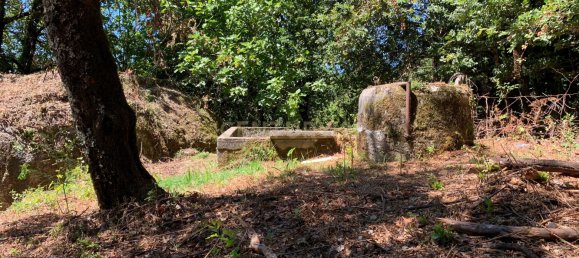 3 bedrooms Villa in Cantelaes, Portugal No. 187806 16