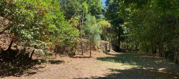 3 bedrooms Villa in Cantelaes, Portugal No. 187806 5