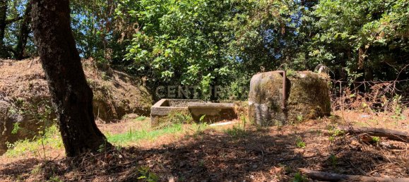 3 bedrooms Villa in Cantelaes, Portugal No. 187806 17