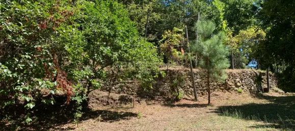 3 bedrooms Villa in Cantelaes, Portugal No. 187806 6