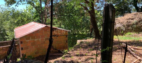 3 bedrooms Villa in Cantelaes, Portugal No. 187806 22