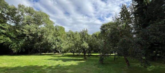 5غرفة منزل في Gotha, Germany رقم 261653 14