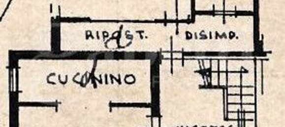 7 rooms House in Pettorazza Grimani, Italy No. 74000 18