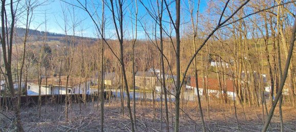 3956m² Land in Tullnerbach, Austria No. 29719 2