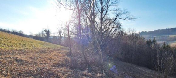 3956m² Land in Tullnerbach, Austria No. 29719 5