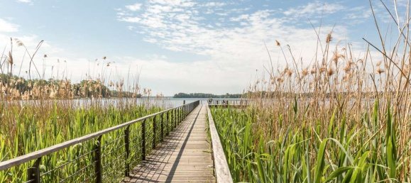 1 bedroom Apartment in Brandenburg, Germany No. 66205 3