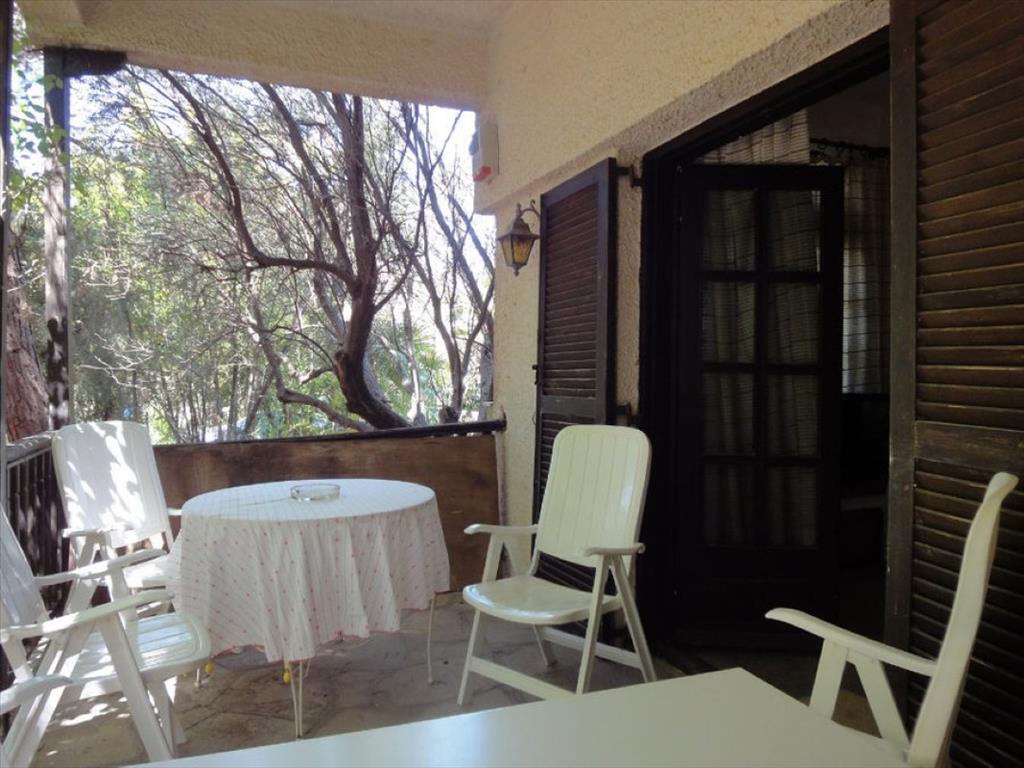 5 غرف نوم عقار تجاري في Chalkidiki, Greece رقم 6393