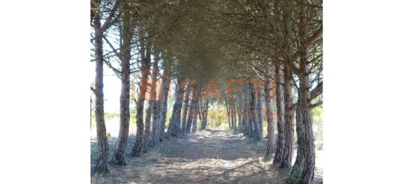 2760000m² Land in Bordeira, Portugal No. 62937 4