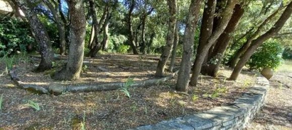 Grundstück in Montaud, France 4220m², Nr. 279960 4