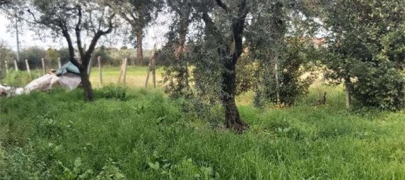 Casa de 7 divisões em Velletri, Italy N.º 269023 5